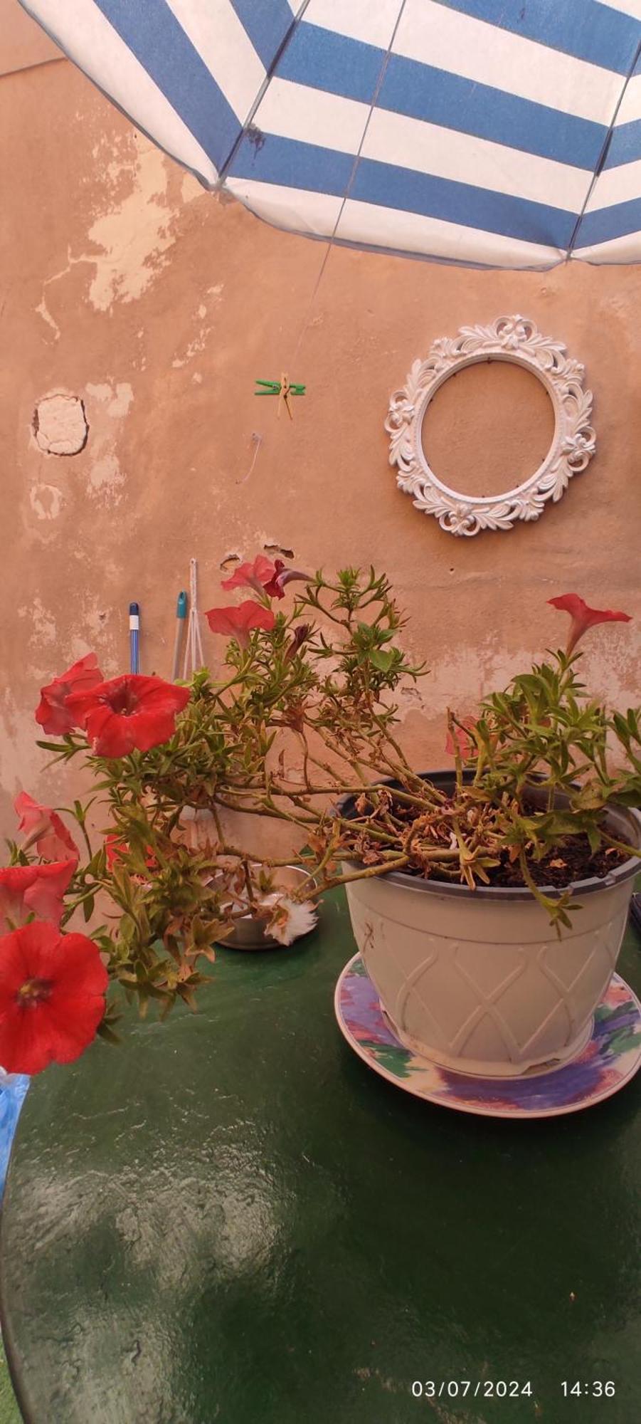 Ferienwohnung Casa Di Mare Corfu  Exterior foto